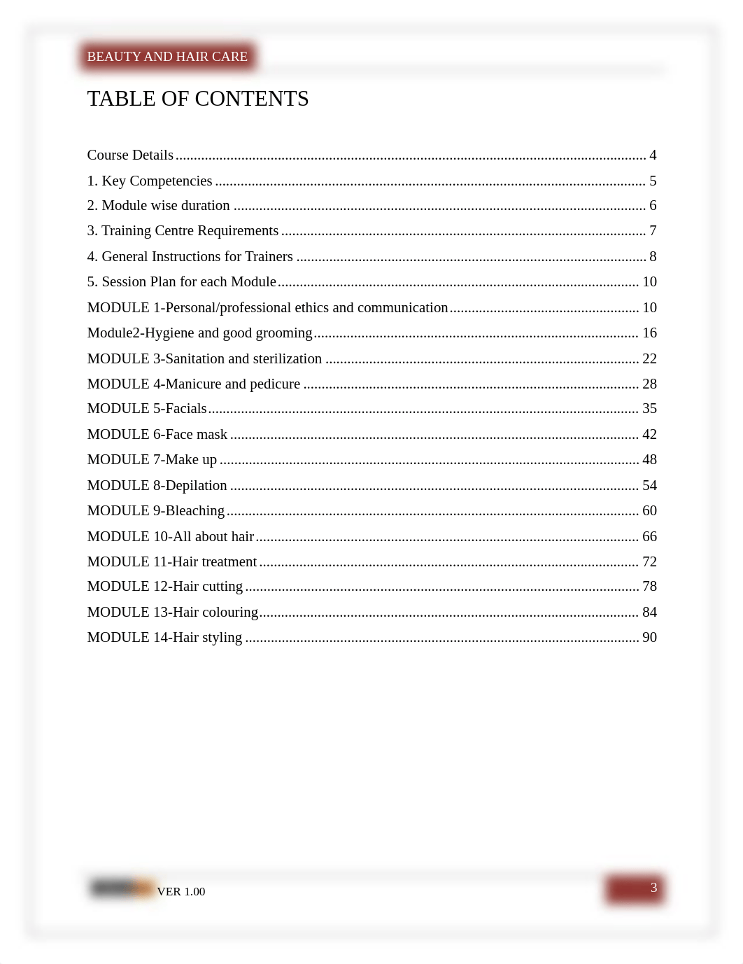 BHC-TG-VER-1.00-CC.pdf_d2cf6x6rr3n_page3