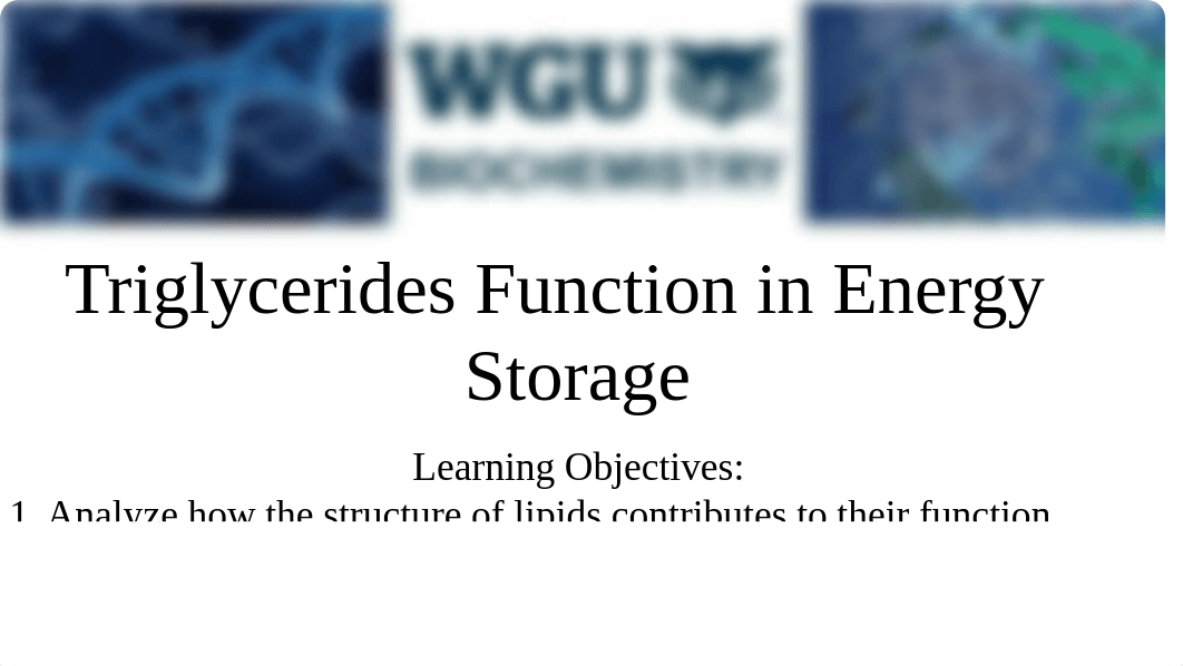 Lipids Recorded Cohort Slides.pdf_d2ch7su6s5d_page4