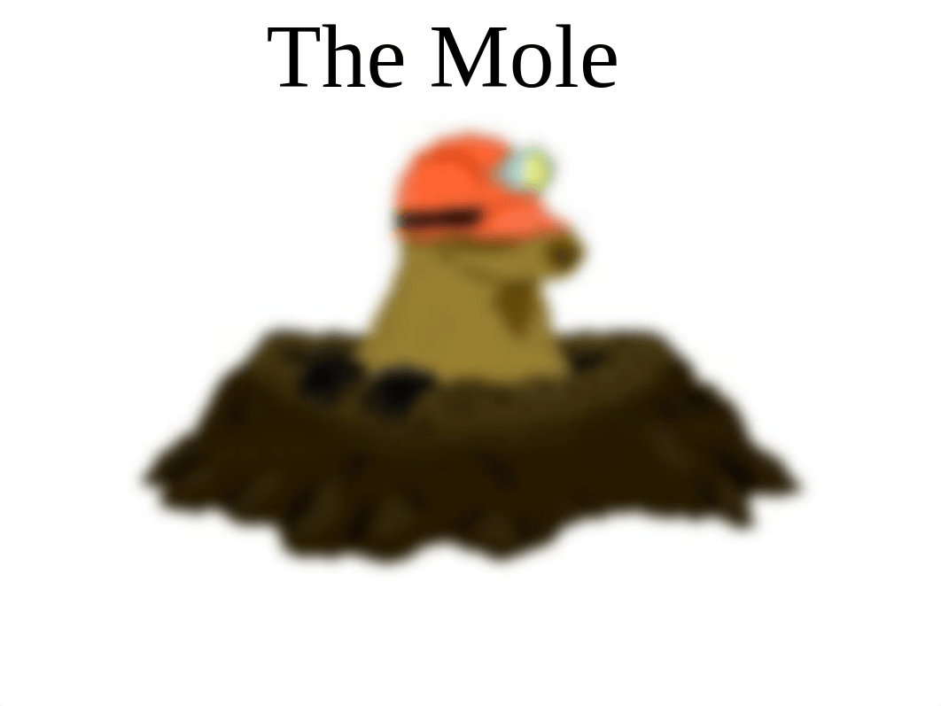 How Big is a Mole Worksheet.pptx_d2chn5ac3zb_page1