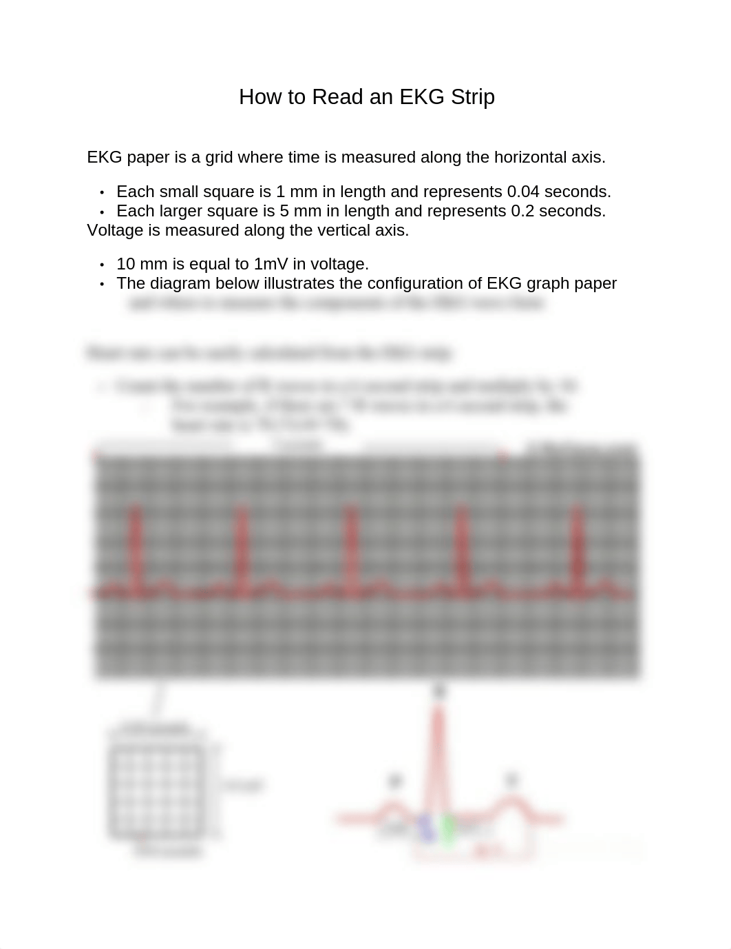 How_to_Read_an_EKG_Strip_.doc_d2cieceklku_page1