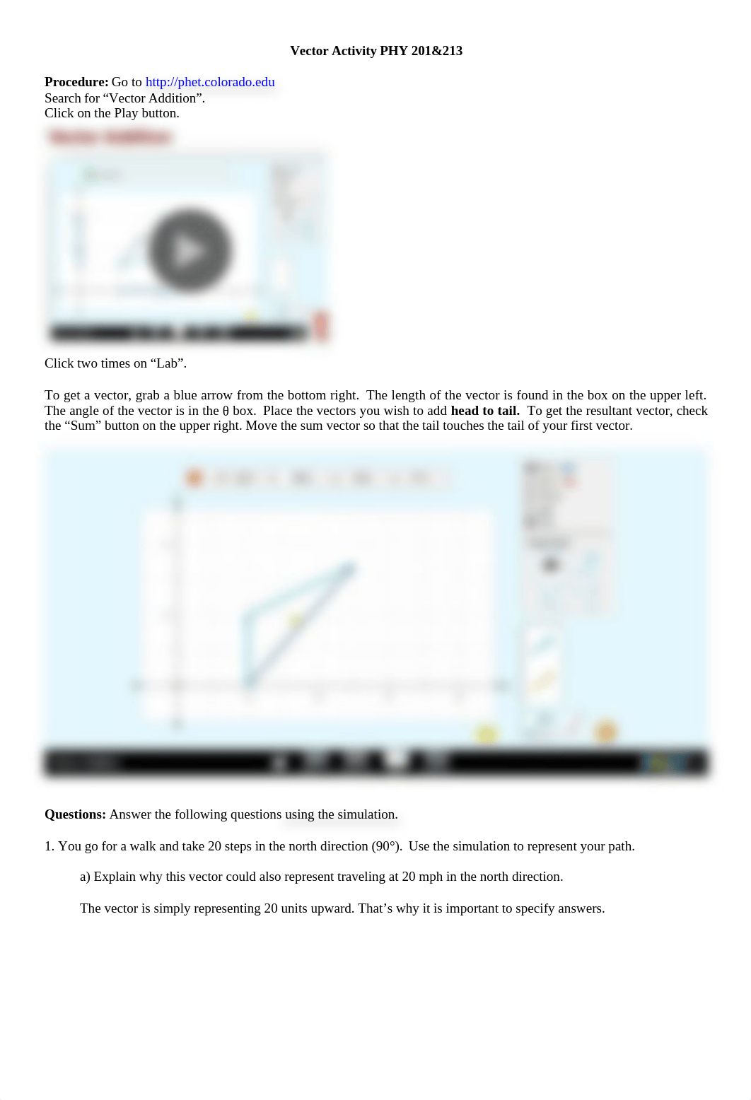 Vector Activity for  PHY 201213 SU20.docx_d2cn4w7af40_page1