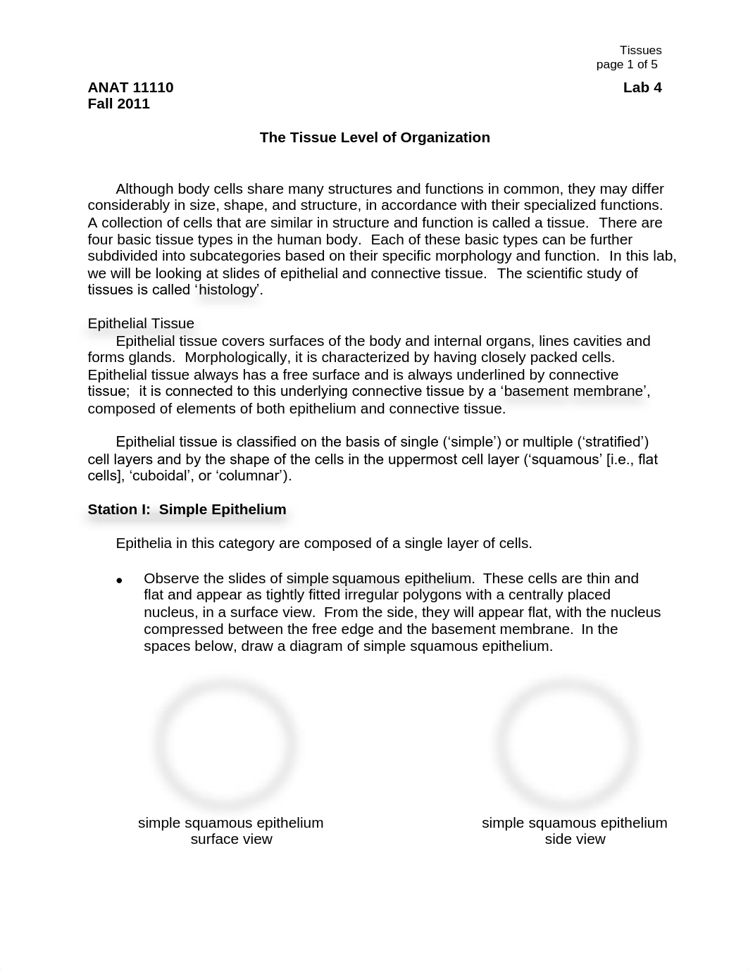 histology-lab_d2cnsxtk7aj_page1