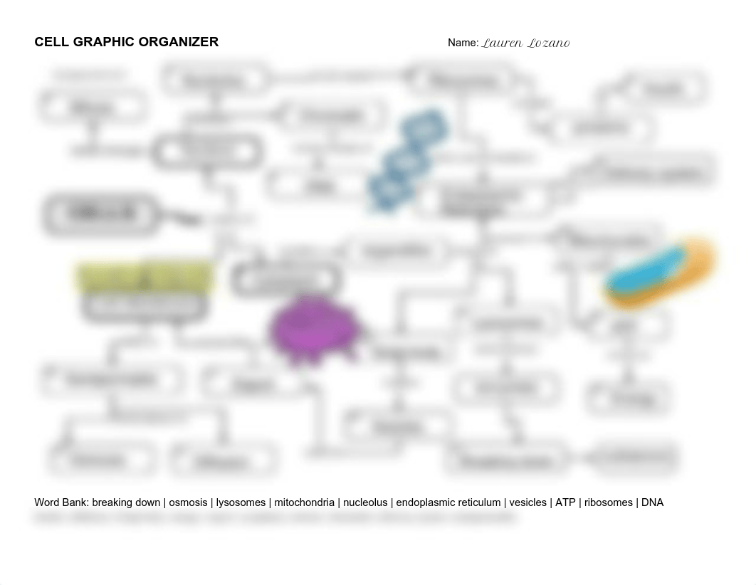 Lauren_Lozano_-_Cell_Graphic_Organizer_copy.pdf_d2cr1u0yuql_page1