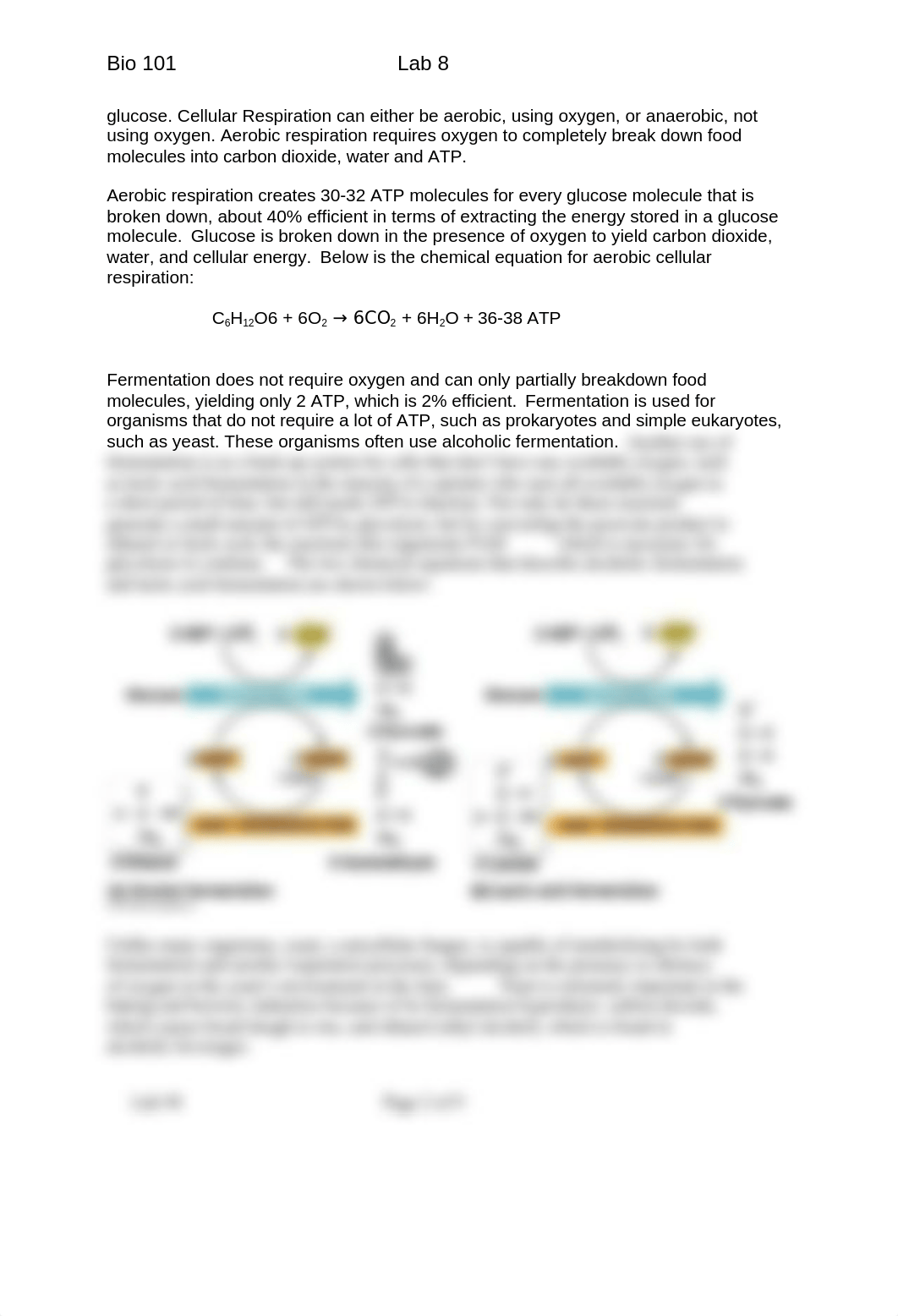 Abigail LeValley Lab 8.docx_d2cwfsmow2n_page2