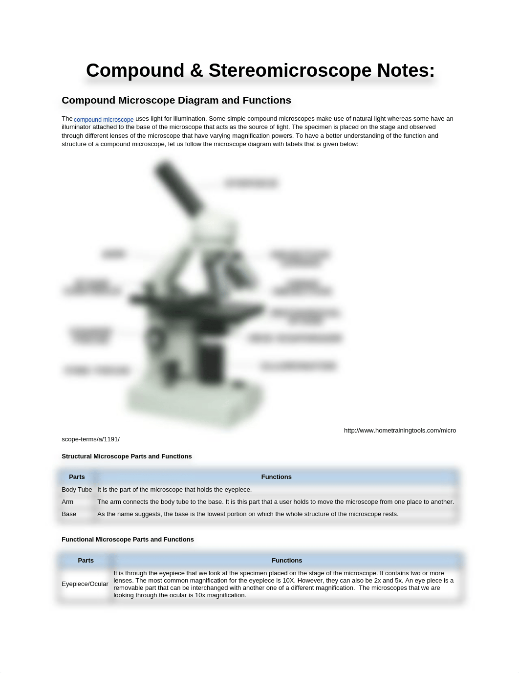 Compound & Stereomicroscop Notes.docx_d2d3ya77lba_page1