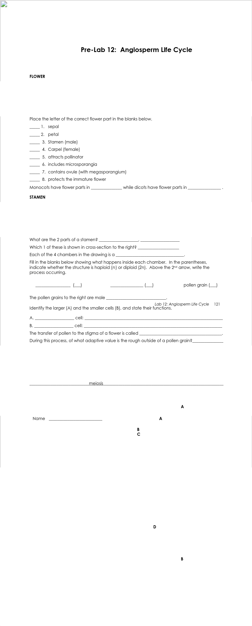 l_Prelab 12 Angiosperm life cycle.pdf_d2dpc0lzlqv_page1