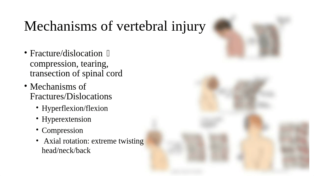 Spinal cord injury -2 (2).pptx_d2dqsc2q0nj_page3