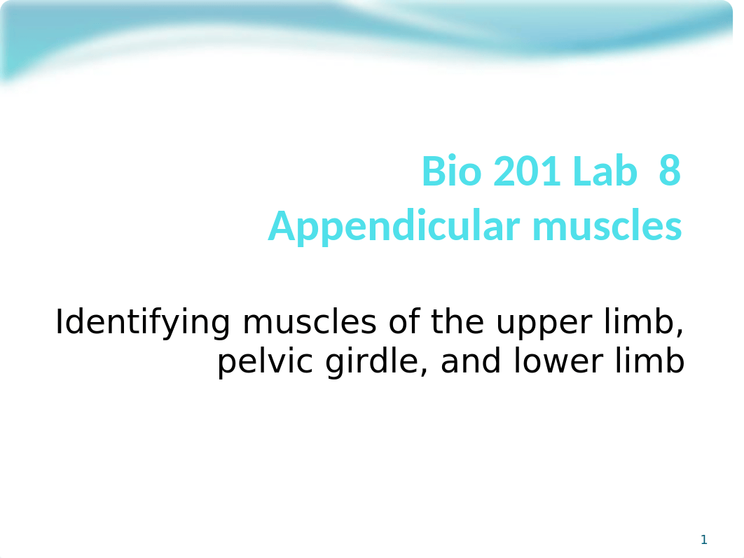 Bio 201 Lab 8 Appendicular Muscles.pptx_d2duk58apjl_page1