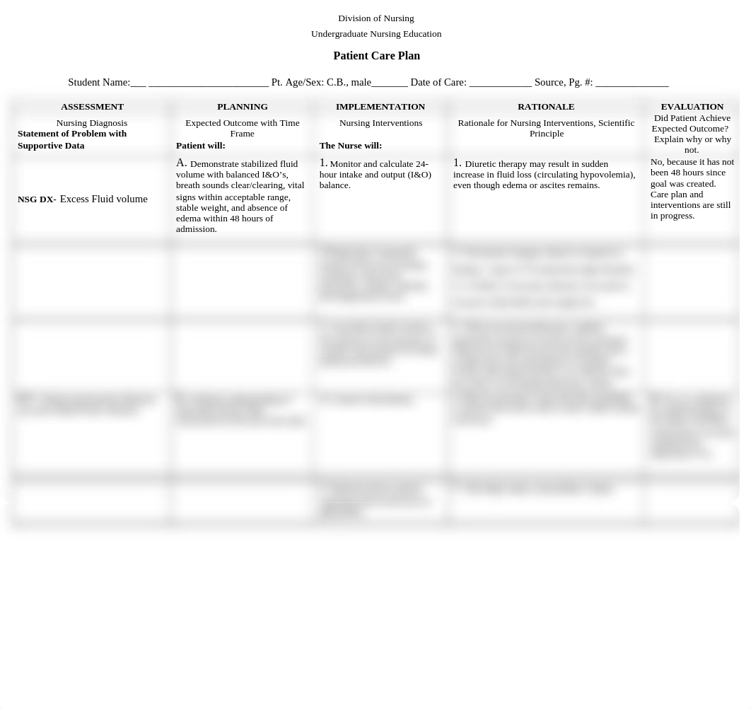 Patient Care Plan-2.docx_d2dwnp1uwck_page1