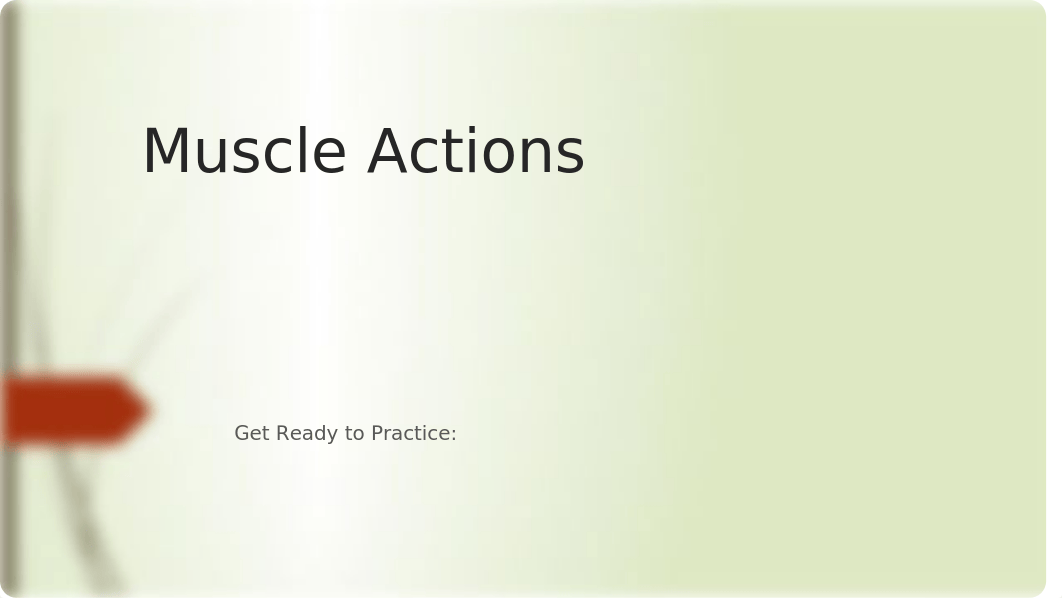 241 Exam 2 Muscle Review (6).pptx_d2e38xfr034_page1