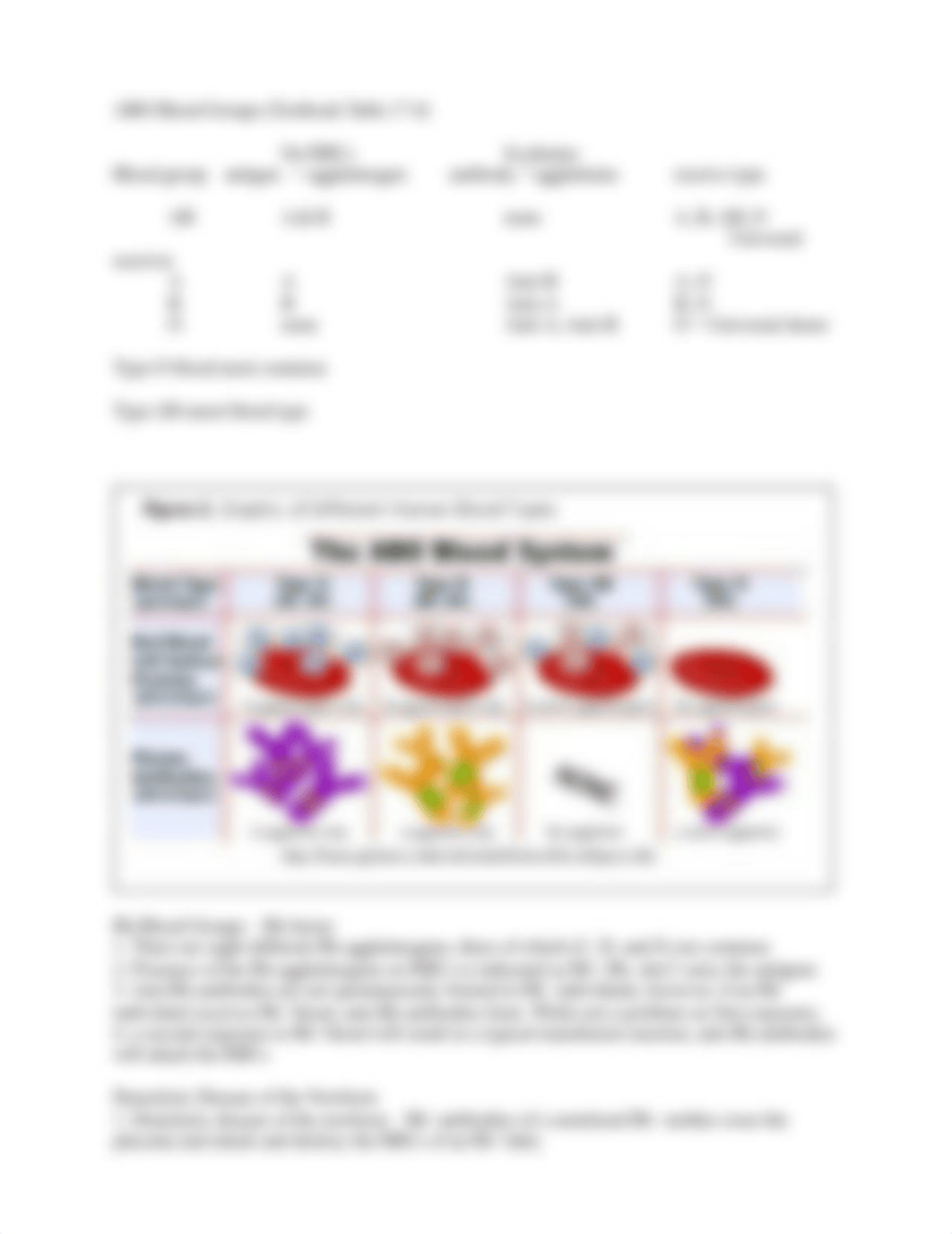 Blood Cell and Blood Typing Virtual Lab (1).docx_d2ebnbsheo8_page3