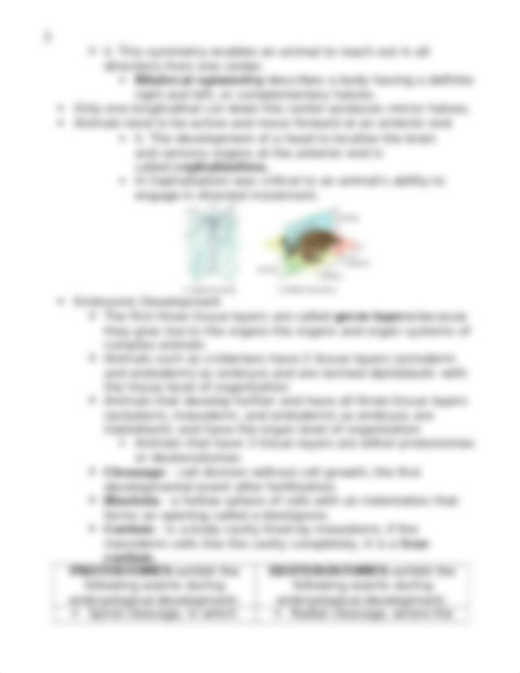 chapter 28 invertebrates.docx_d2eg2lyqiys_page3