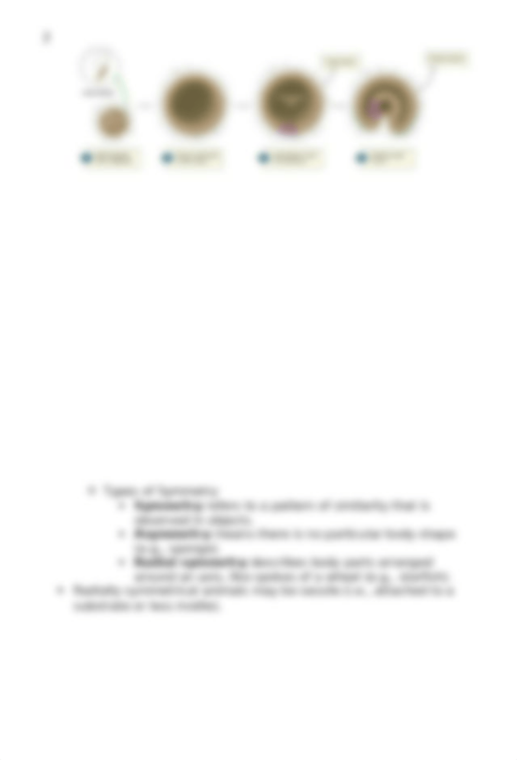 chapter 28 invertebrates.docx_d2eg2lyqiys_page2