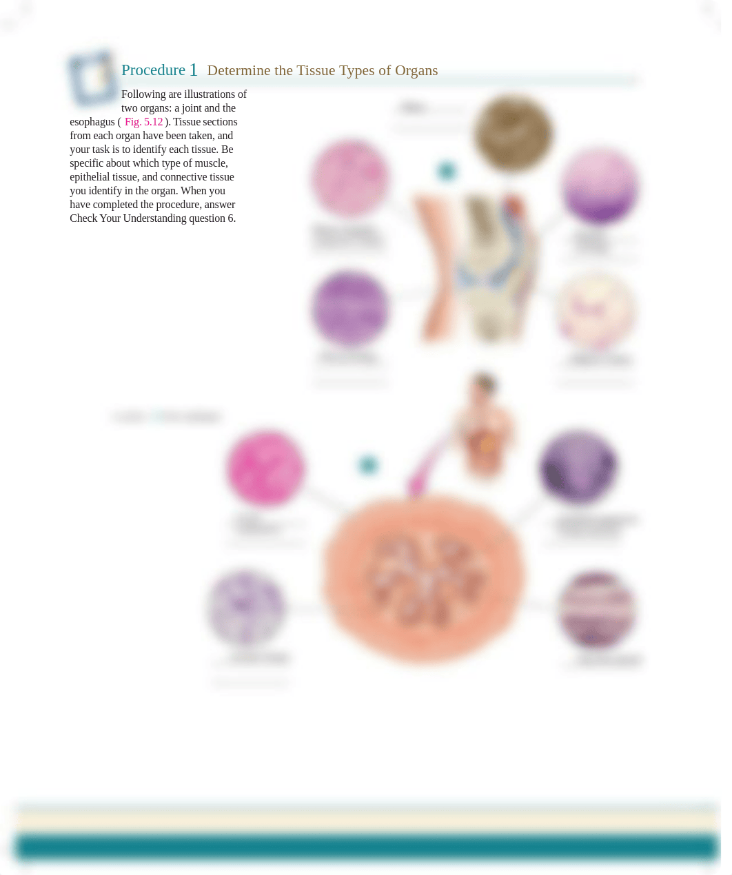 Unit 5 Ex 5-5 Procedure 1.pdf_d2eglxlc8f8_page1