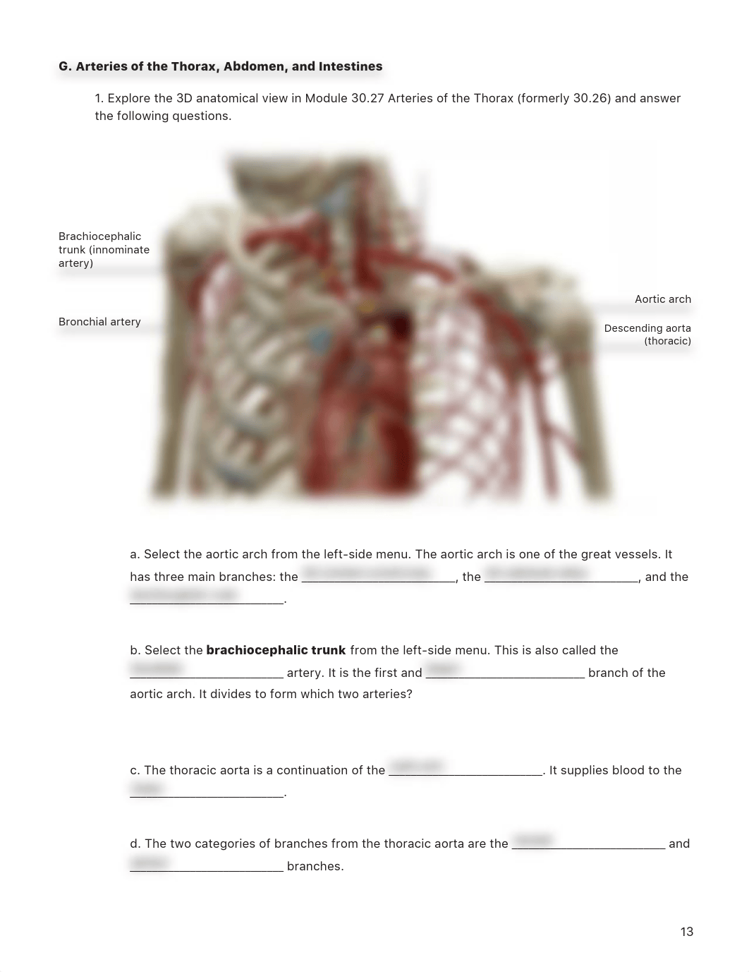 Lab_Activity_-_Blood_Vessels_II.pdf_d2ffwerwrkz_page1