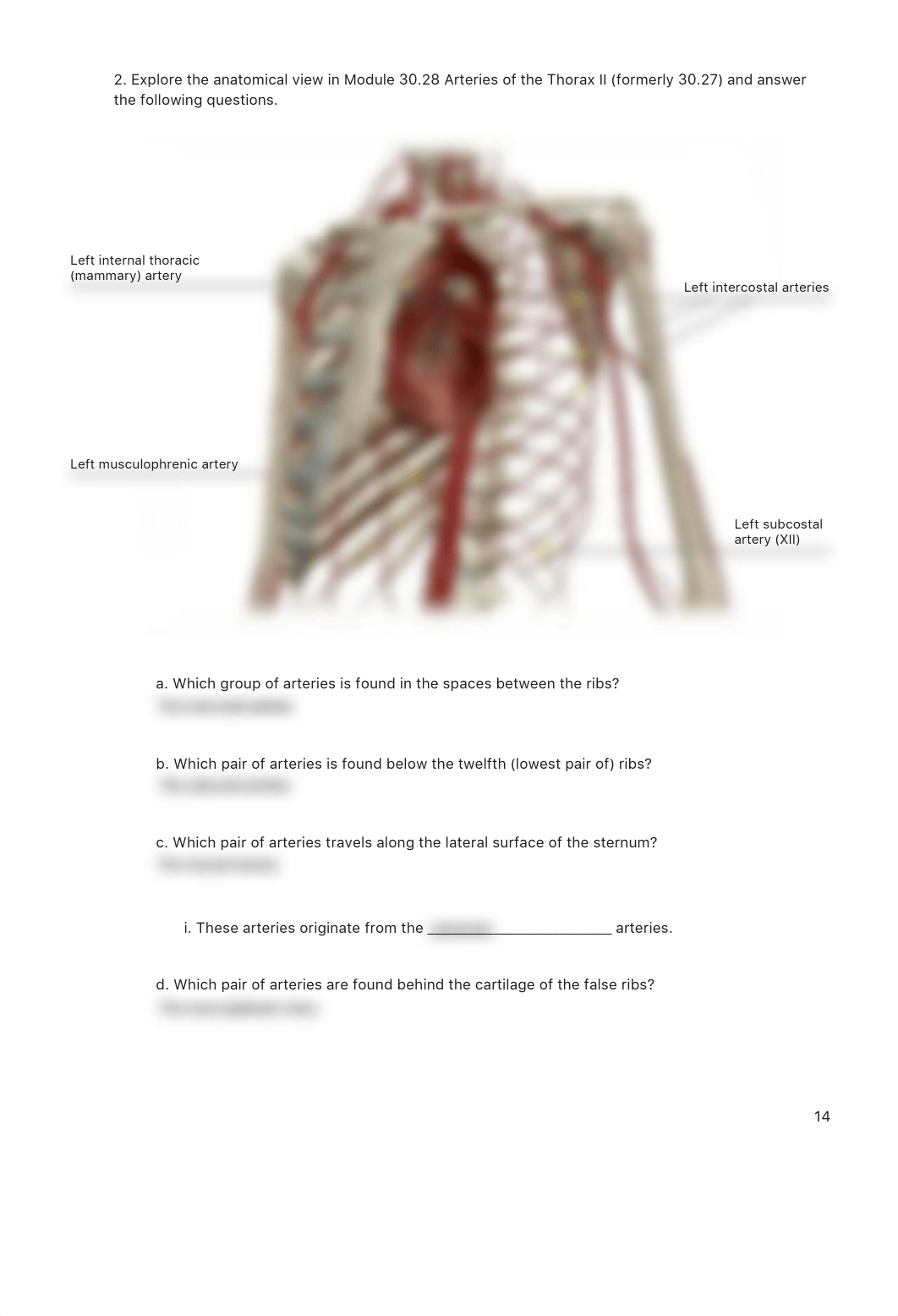 Lab_Activity_-_Blood_Vessels_II.pdf_d2ffwerwrkz_page3