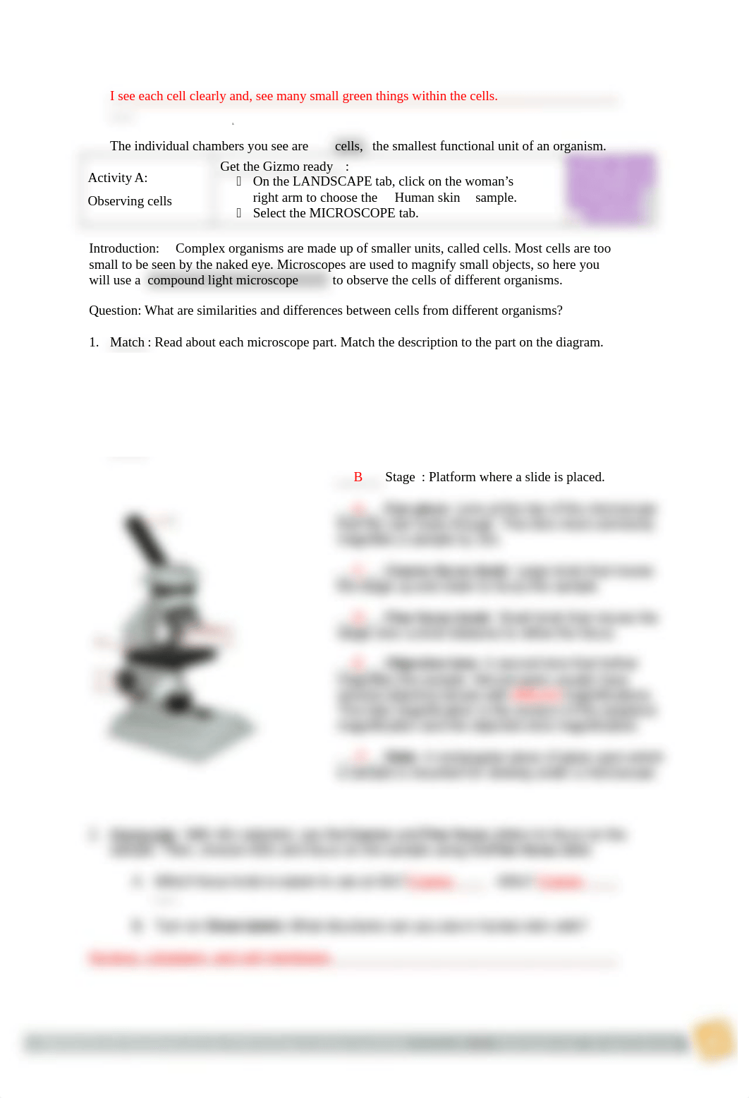 Bio5L Lab 3 Cell Types and Structure.docx_d2fjqrmzrex_page2