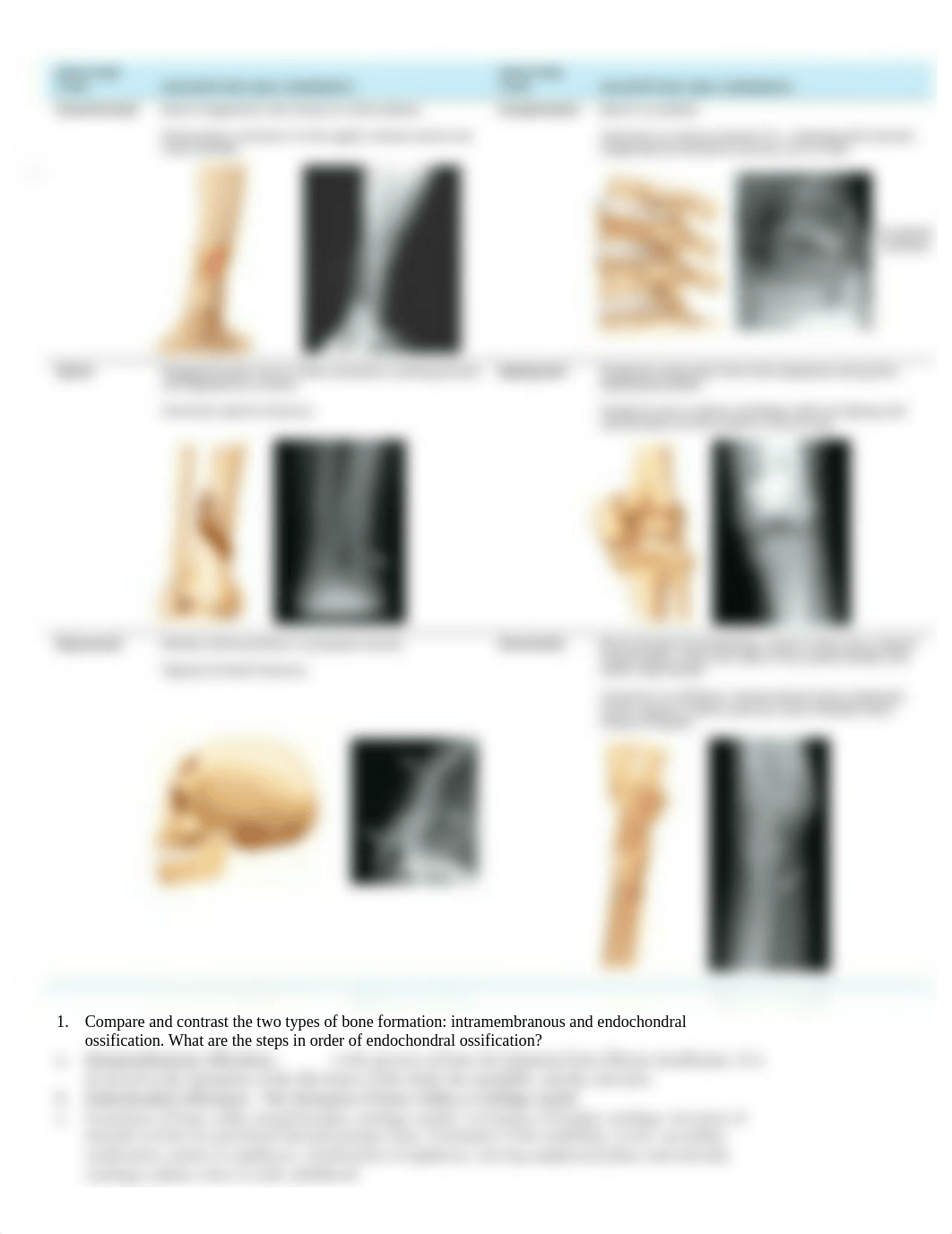 Unit 1 %22Cheat Sheet%22.docx_d2fjuc5v9e6_page1