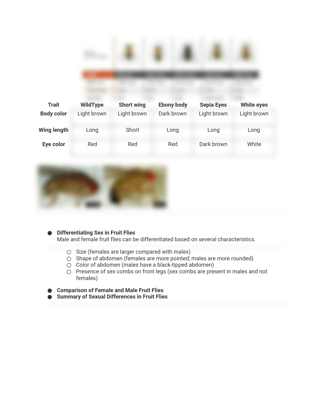 BIO 2 LAB MIDTERM.docx_d2fl0pjfxp5_page2