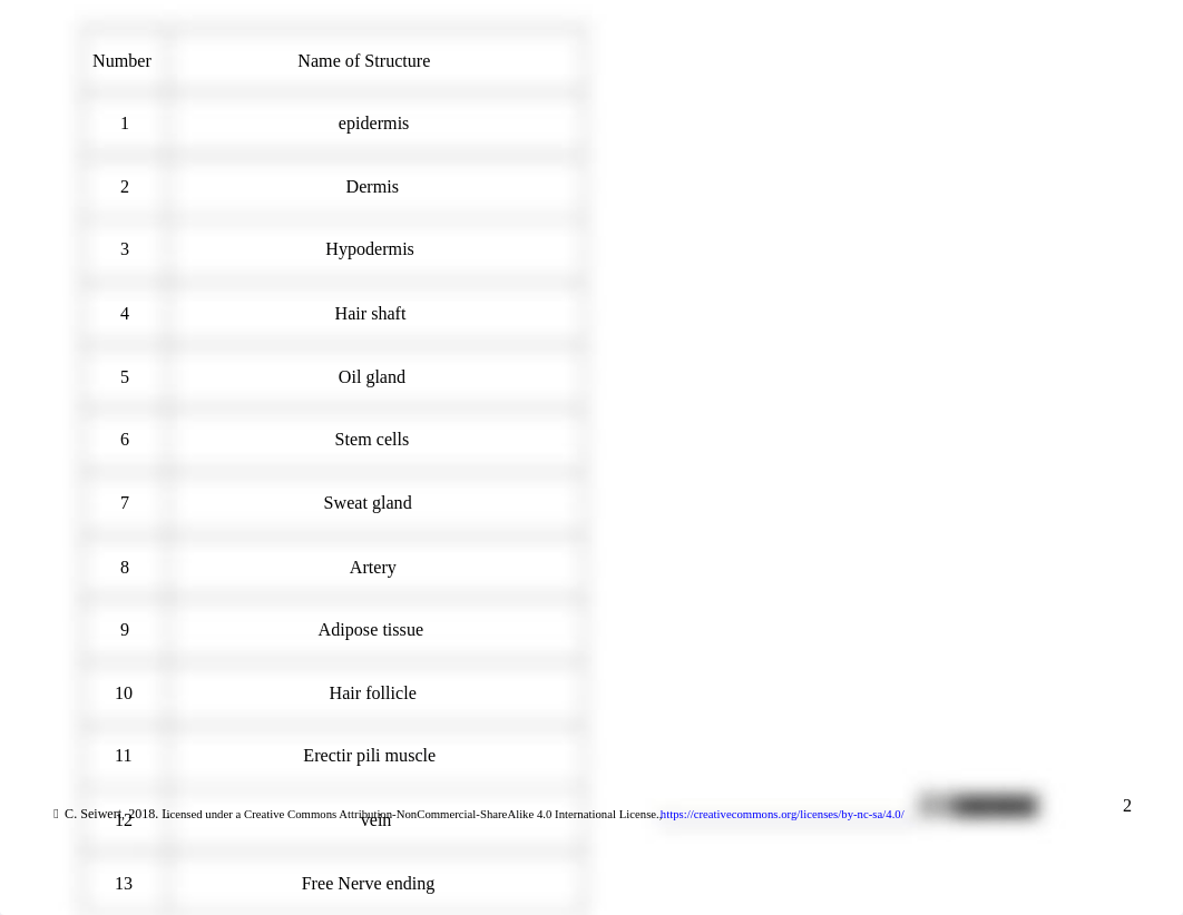 Integumentary and Urinary System Concept Check.docx_d2fp1xtjh99_page2