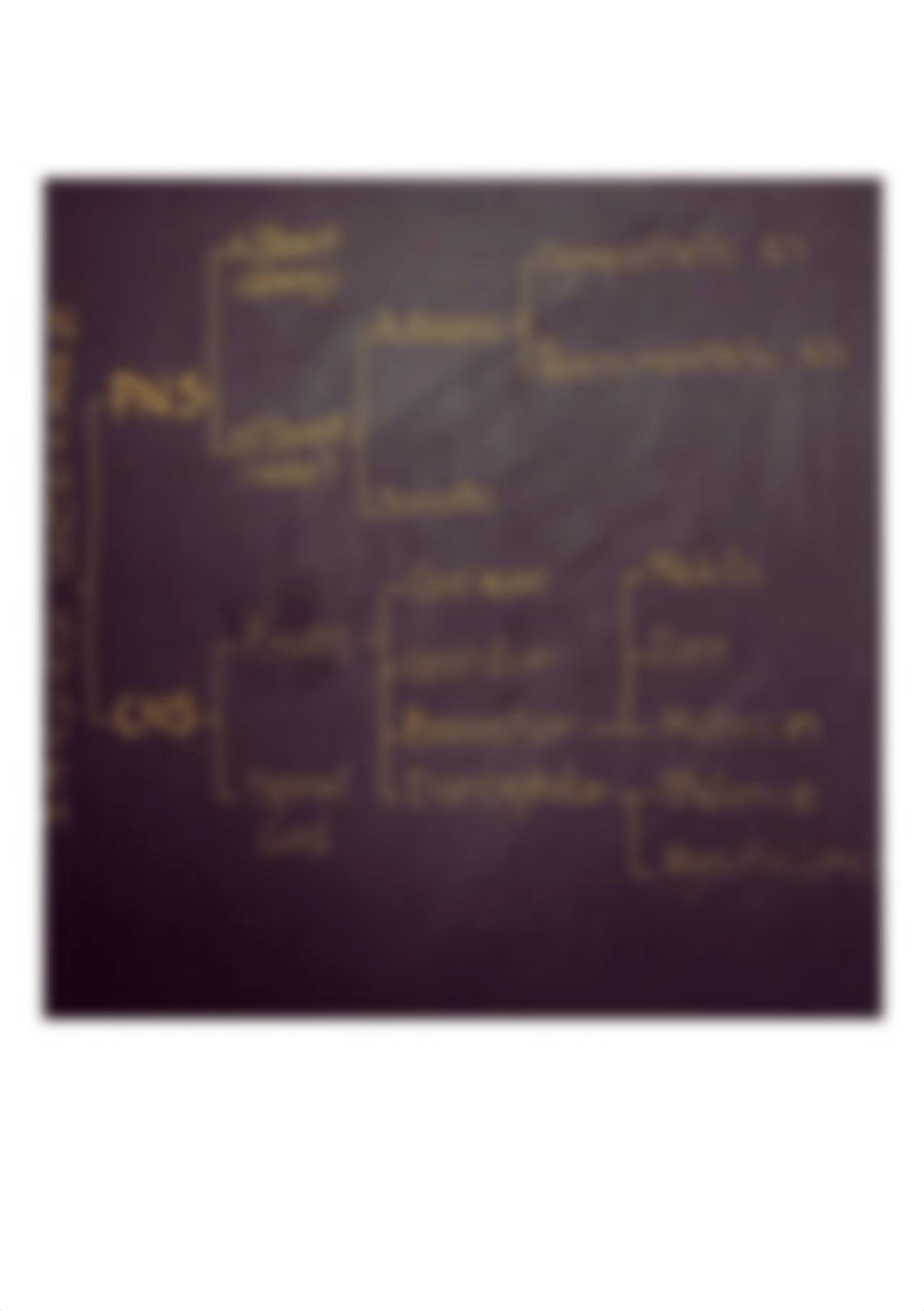 Nervous System Bracket_d2fs49uah9t_page1