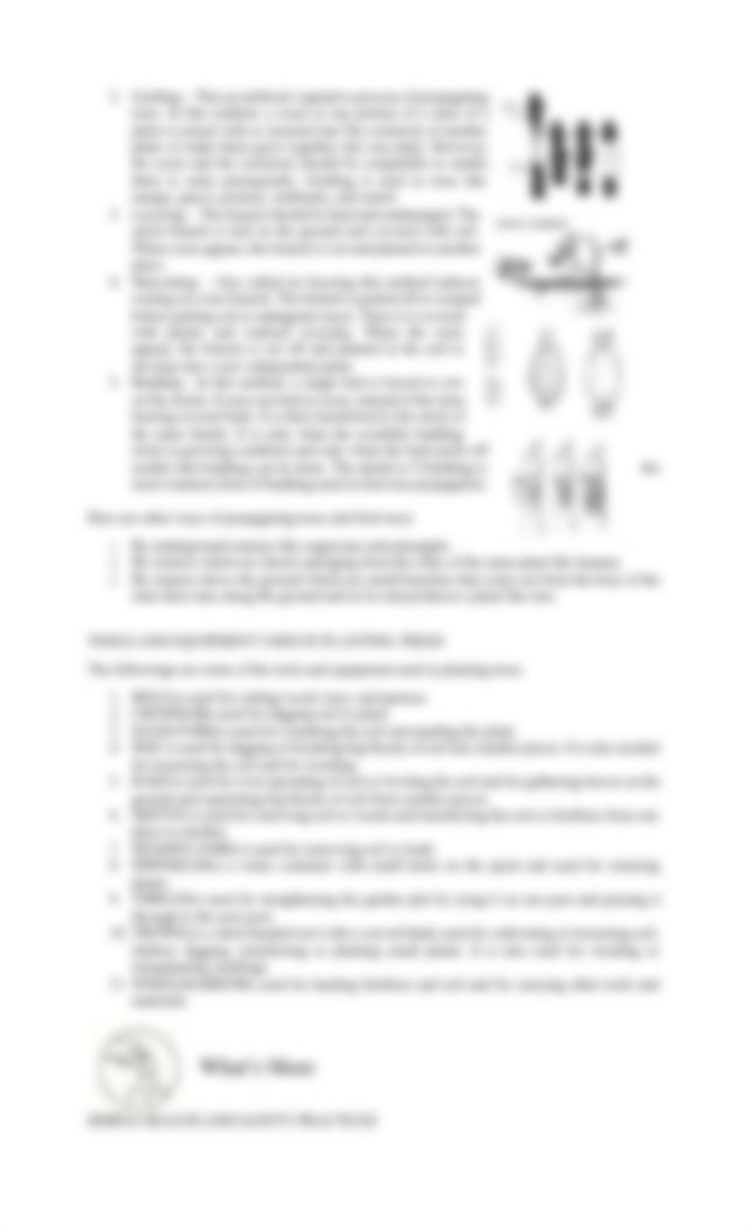 TLE6_AG_Q1_Module-4.pdf_d2fspem2zuy_page4