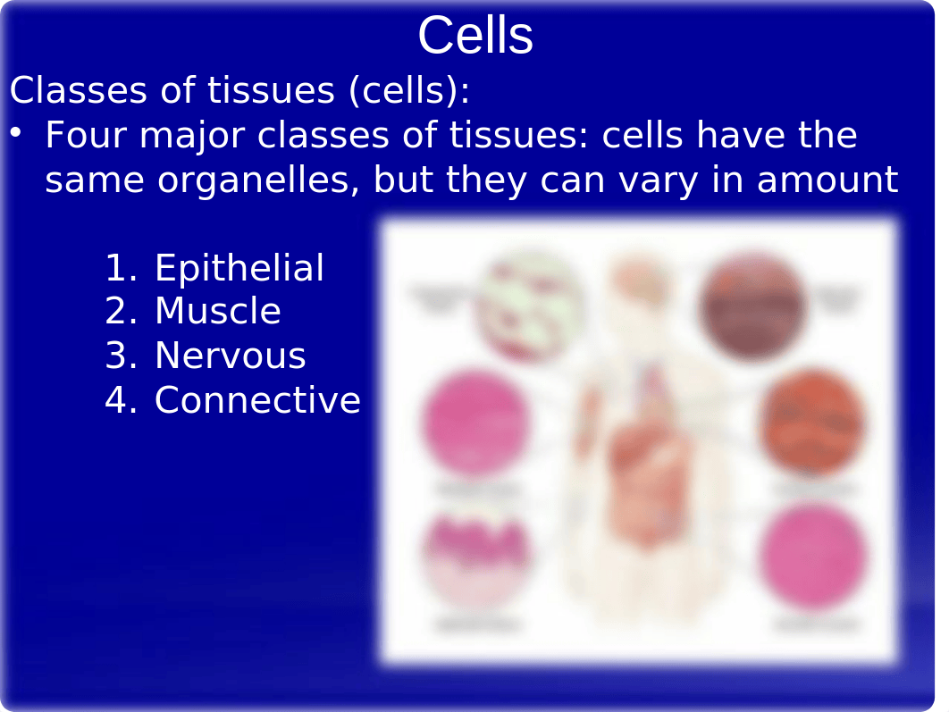 Week 2 - 1Cellular Function.pptx_d2ft94ajcn1_page2