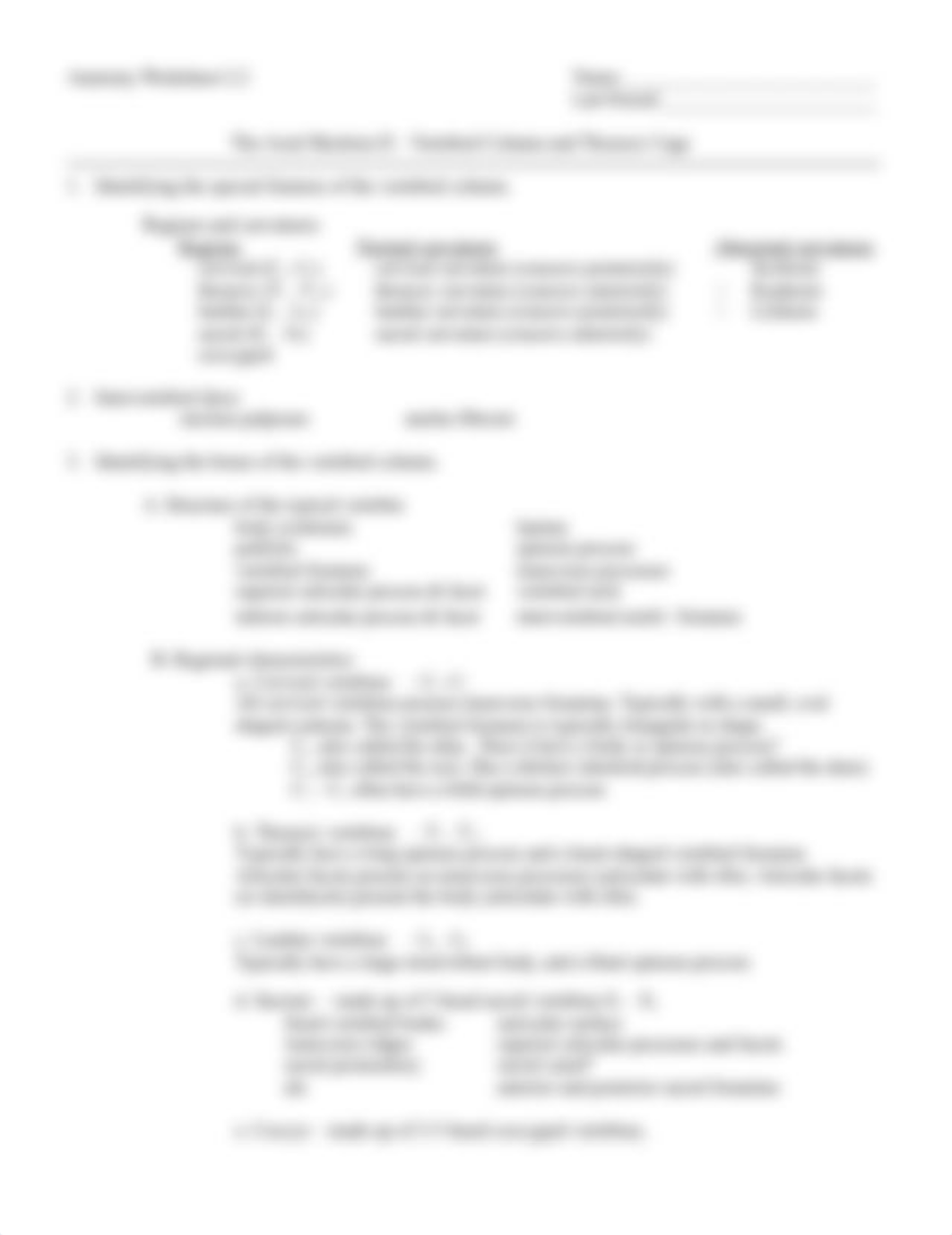 Anatomy Worksheets - Unit 2 Axial Skeleton.pdf_d2fwbi5p0o9_page4