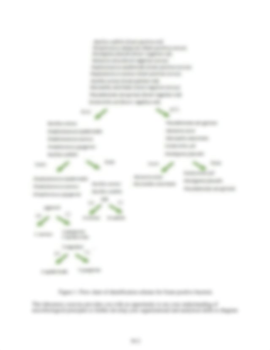 Exercise 10- Single Organism Unknown Identification (Printable).docx_d2fy3lmgatx_page2