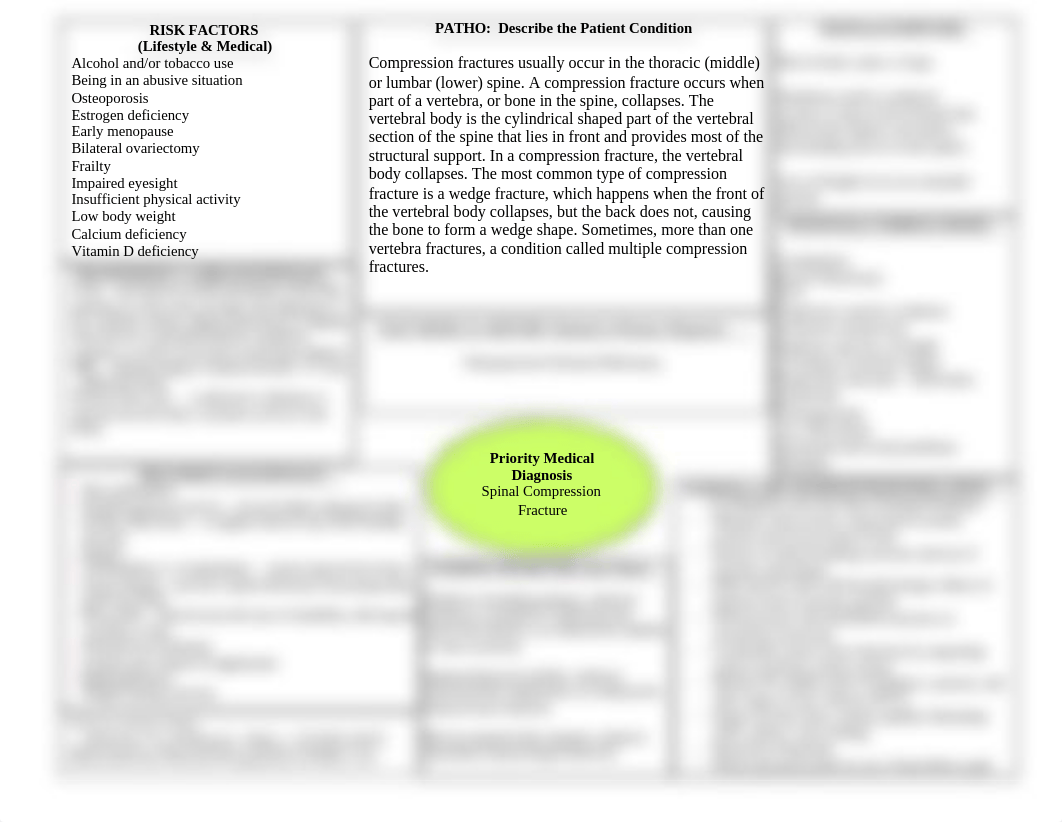 DONE---Spinal Fracture Concept Map.doc_d2g6v1g9lft_page1