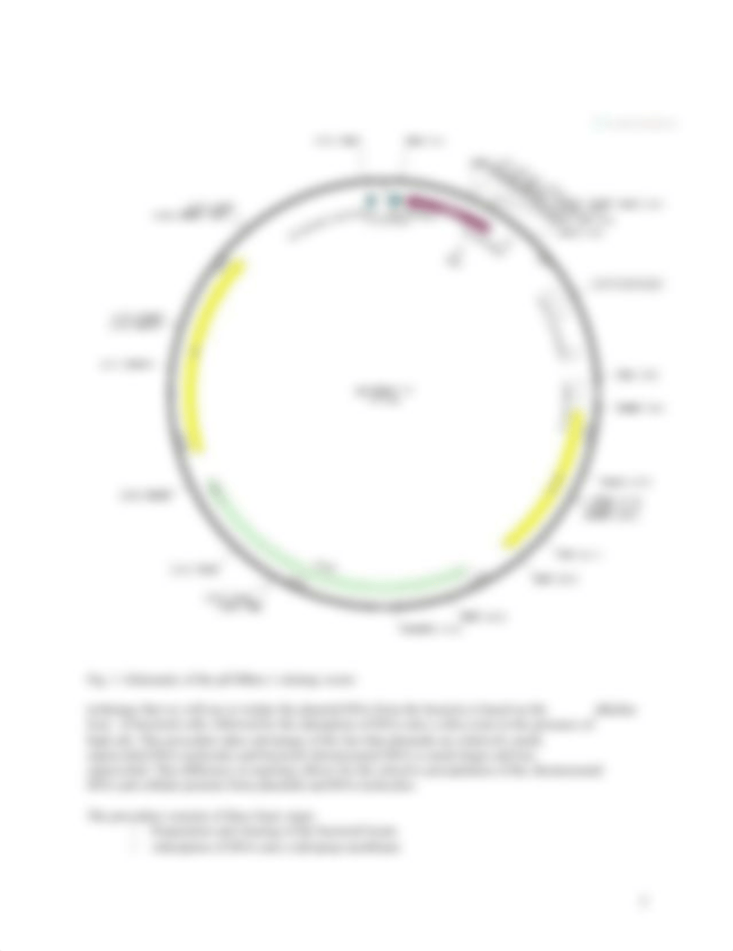 Lab 2 Plasmid DNA Isolation and PCR.doc_d2gdrf082u9_page2