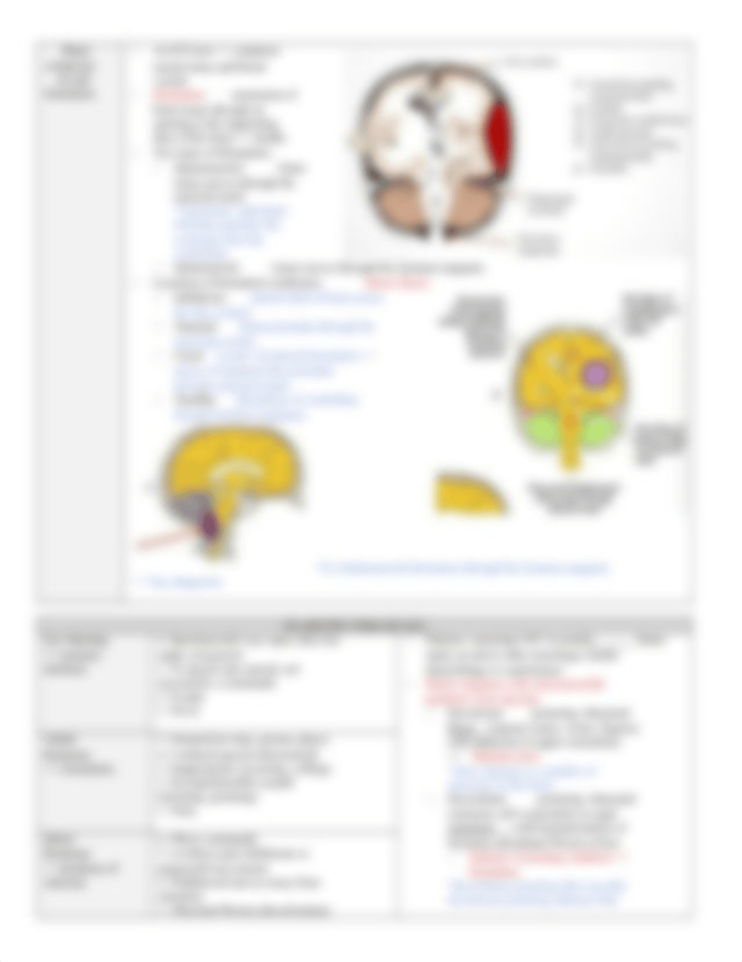 N520 E6 Brain injury notes.docx_d2gegjacw8l_page4