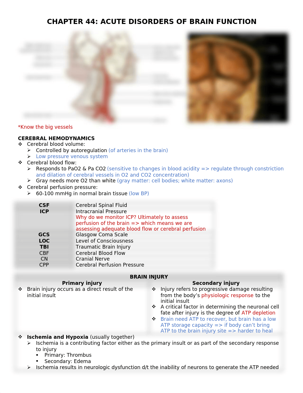 N520 E6 Brain injury notes.docx_d2gegjacw8l_page1