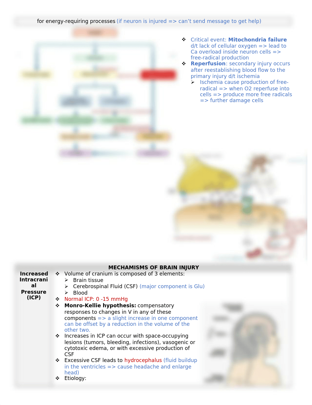 N520 E6 Brain injury notes.docx_d2gegjacw8l_page2