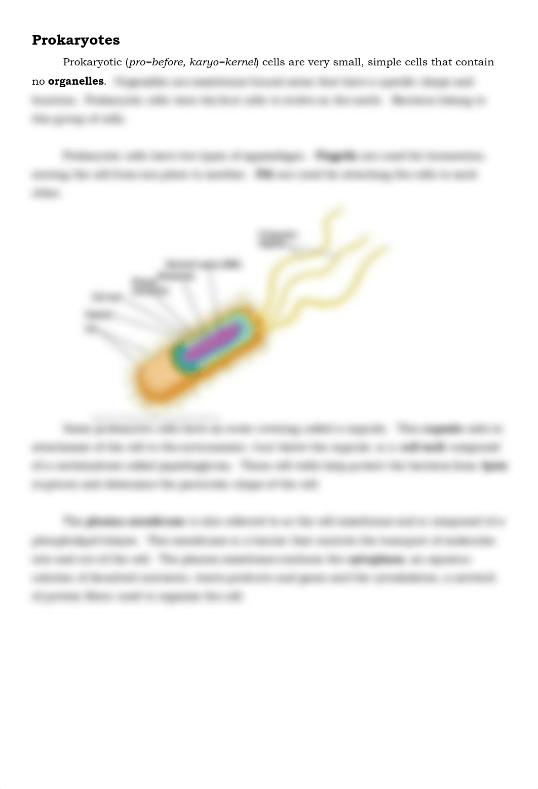 Lab Report 5 Microscopes S20.pdf_d2h0j8oyj6u_page4