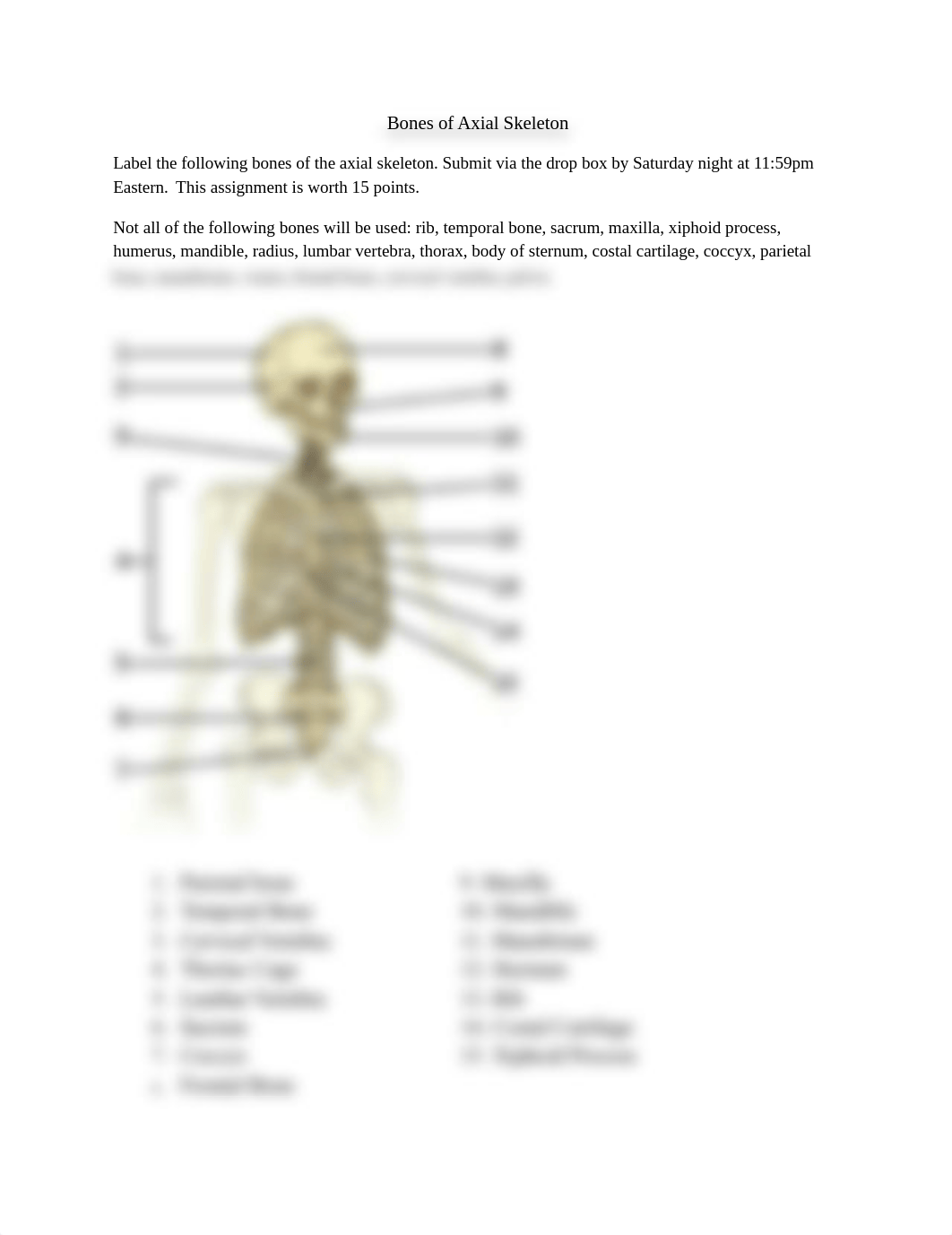 BIO201 - Label bones of Axial Skeleton - Wk 2 - Kyle Patrick.docx_d2h5okkxbph_page1