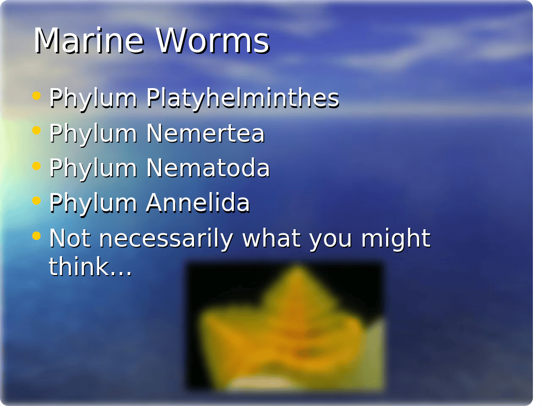 The+worms.ppt_d2hcqs6b90j_page2