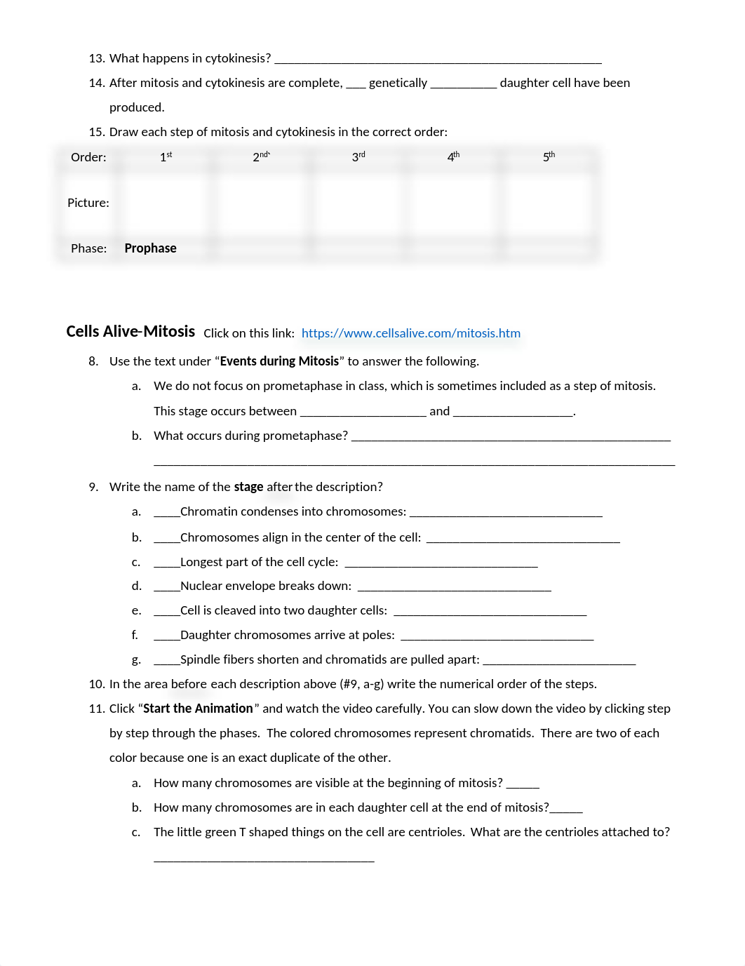 DNA and Mitosis Webquest.docx_d2hgz7k5ayu_page2