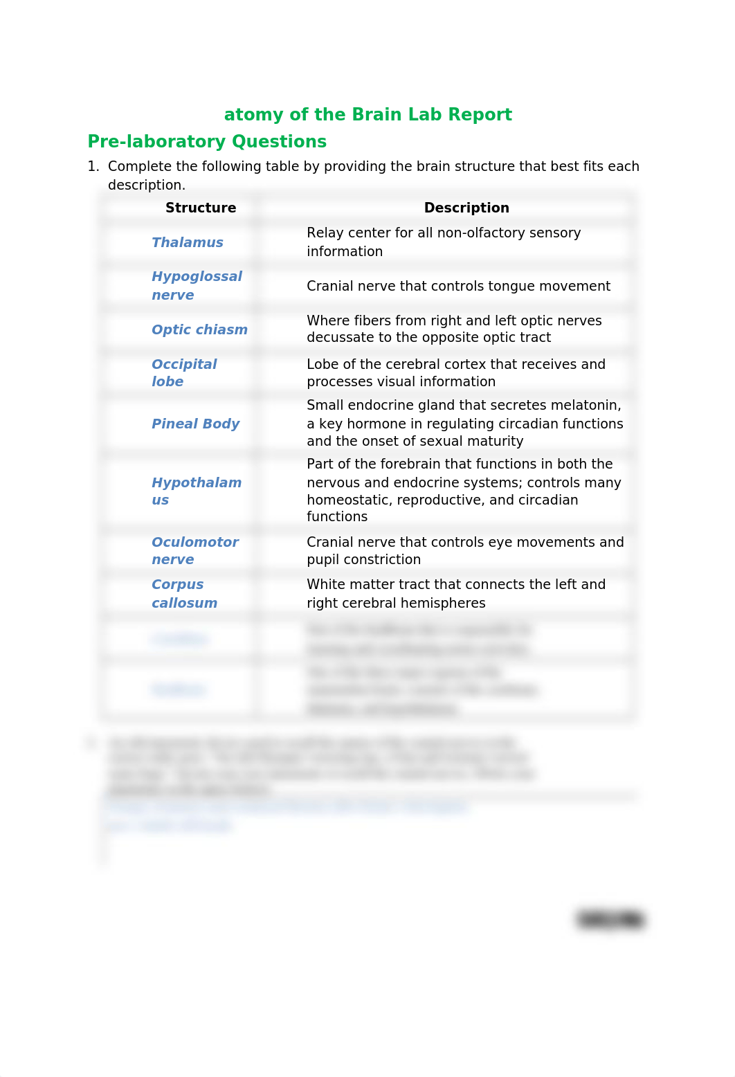 Anatomy of the Brain Lab Report.docx_d2hn7kbuklt_page1