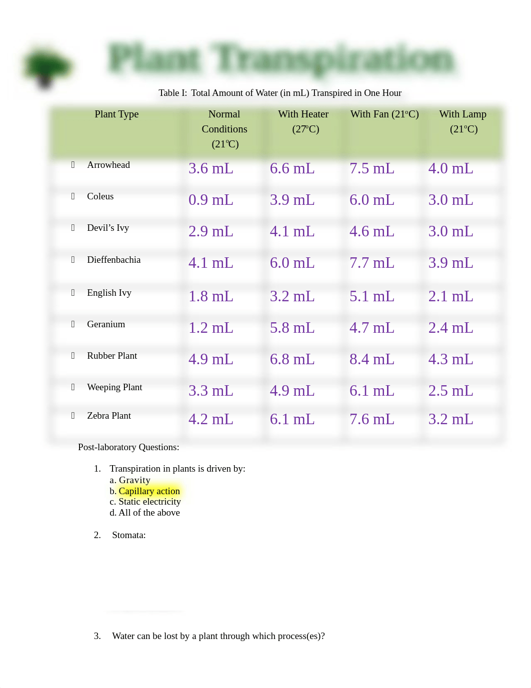 Plant Transpiration Worksheet.doc_d2hqoig2cec_page1