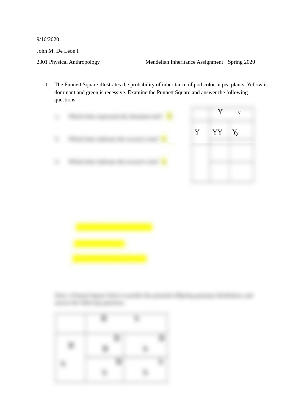 Punnett Square Activity .docx_d2htw0ovw98_page1