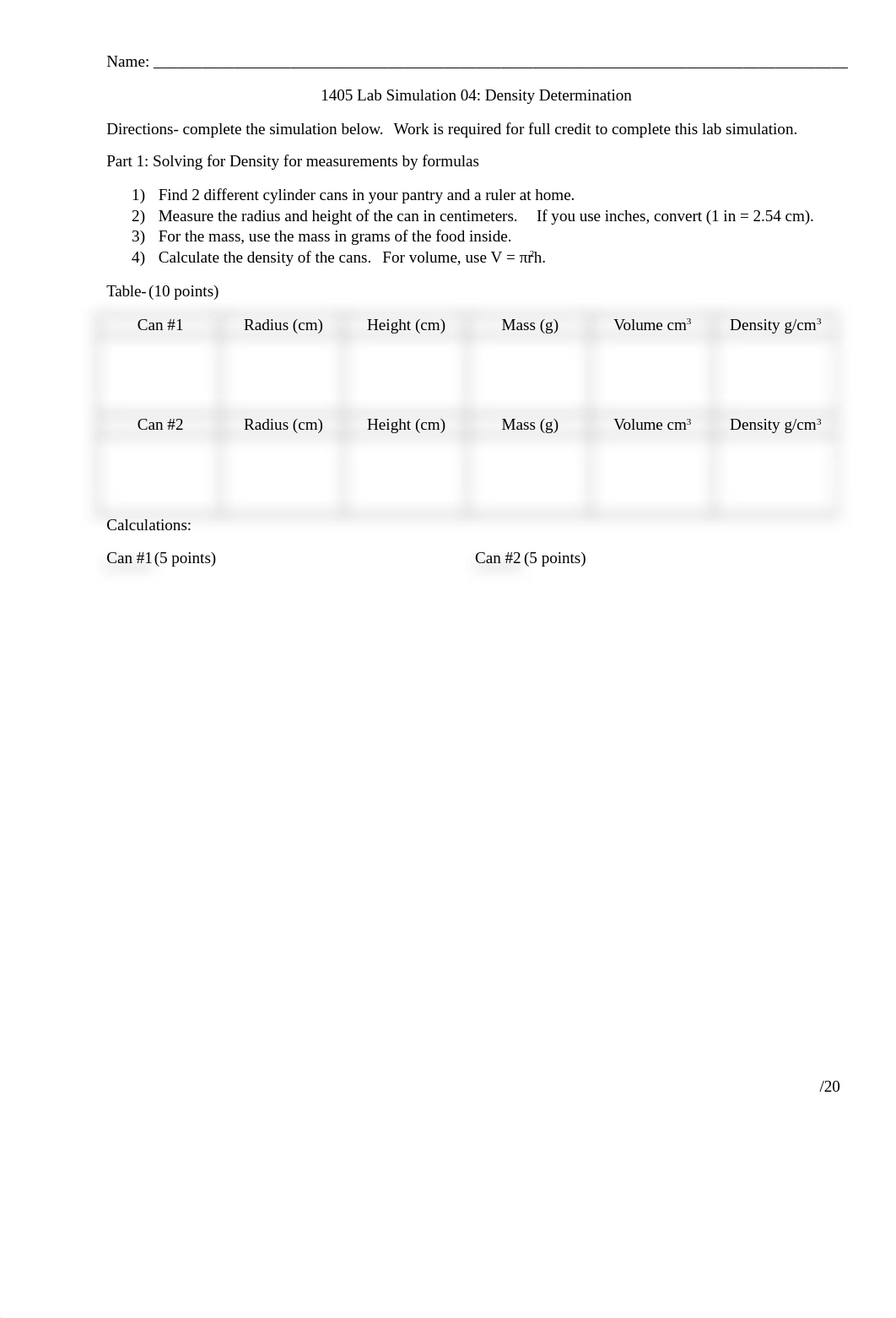 05Sim04.Density Determination.docx_d2hv3tk7gez_page1