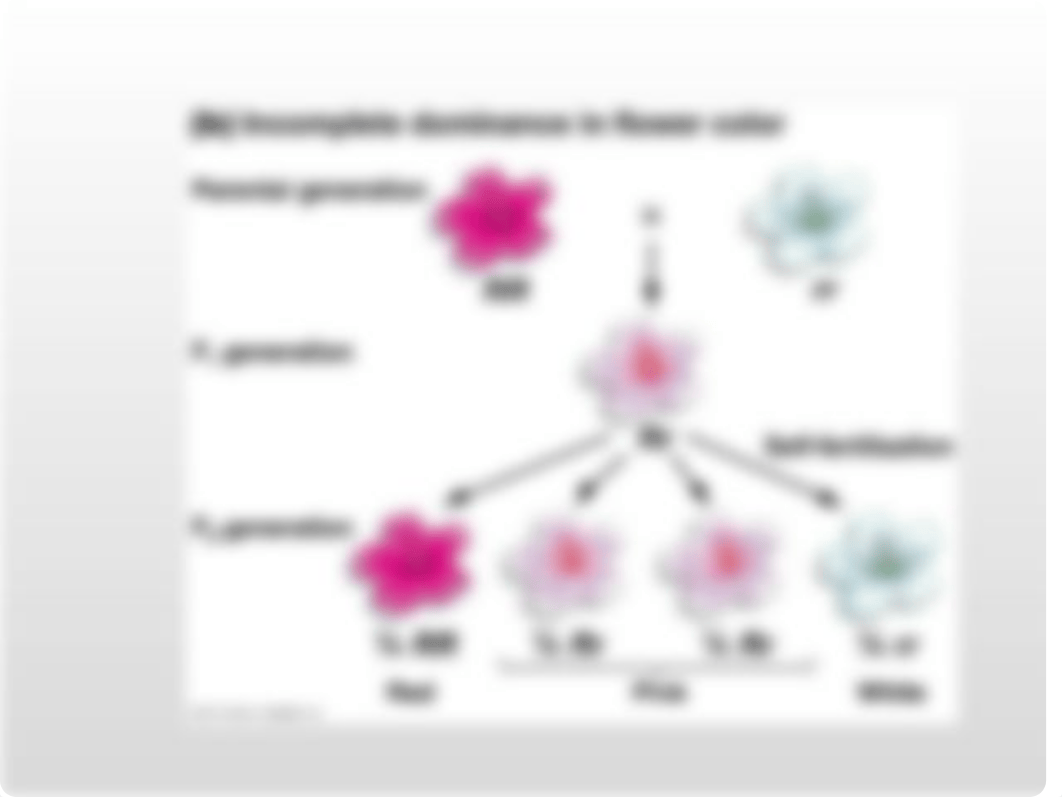 final exam study guide bio.ppt_d2i5lme2iuq_page5