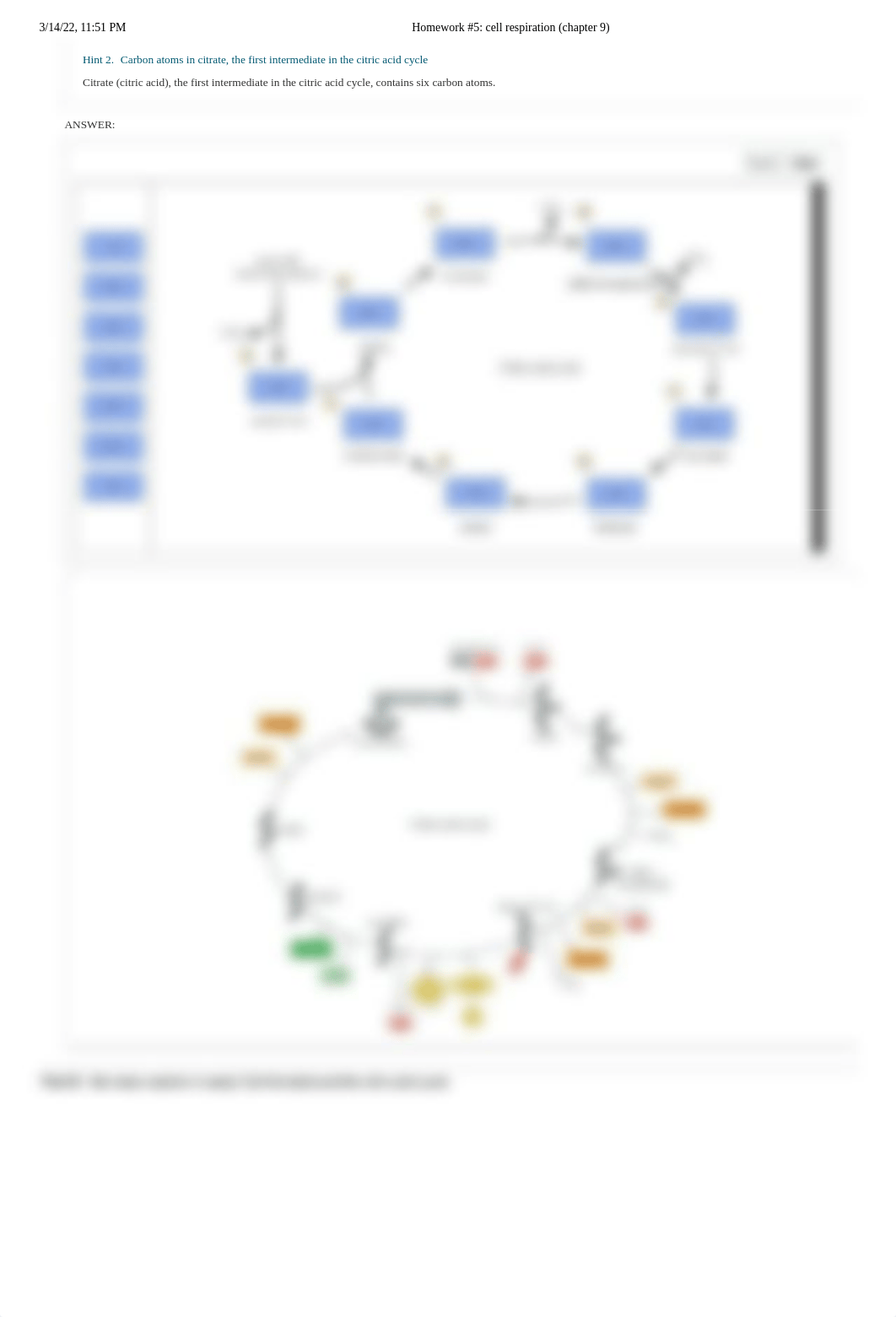 Homework #5_ cell respiration (chapter 9).pdf_d2i86rtpsnt_page2