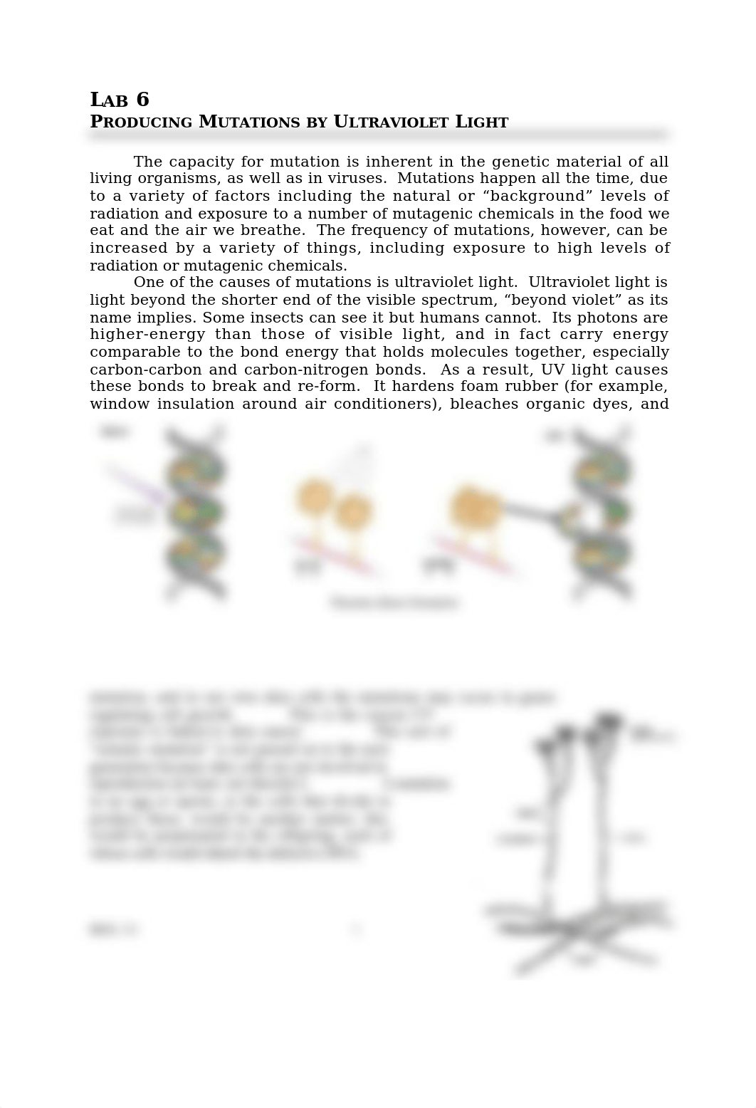 Bio 111 Lab 6 Mutations(1).doc_d2i8rue1p9z_page1