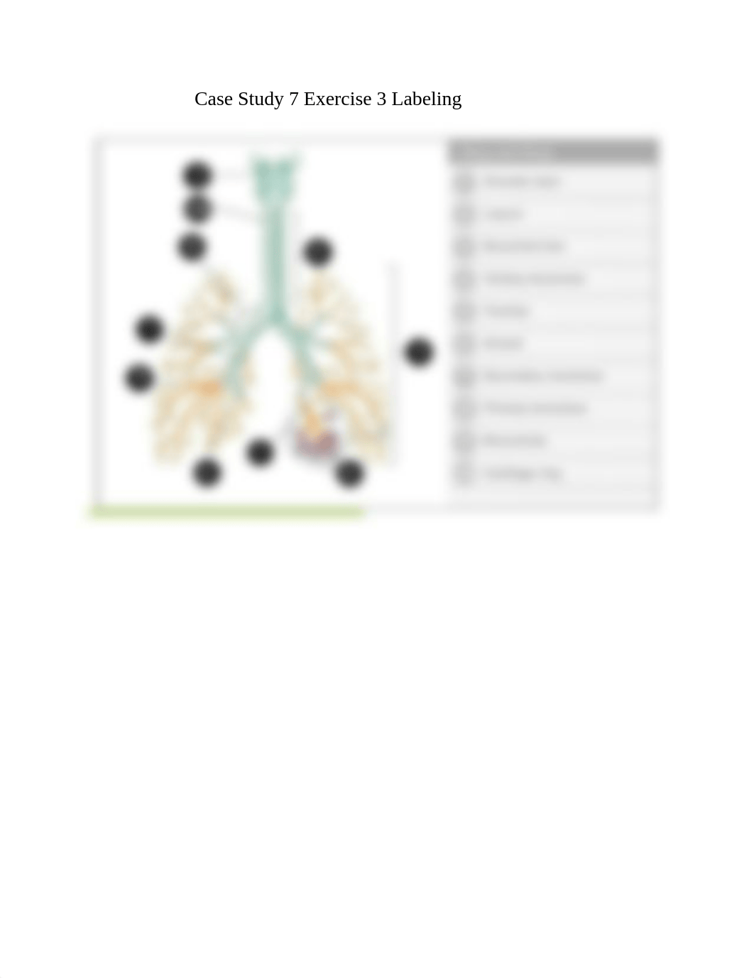 Case Study 7 Exercise 3 Labeling.docx_d2ih4exw7mx_page1