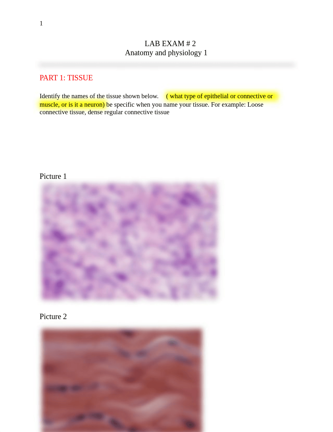 LAB EXAM 2 a&p1.docx_d2ijorj1kx7_page1