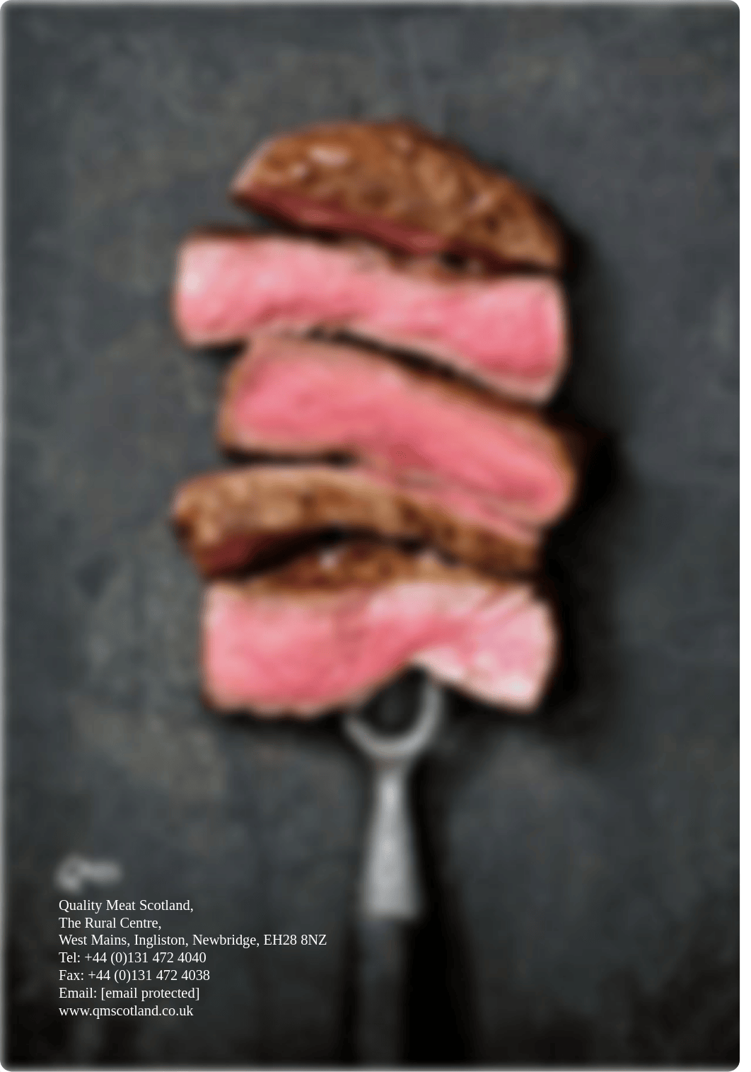 a_new_beef_guide_with_recipes.pdf_d2ipwd99i0q_page2