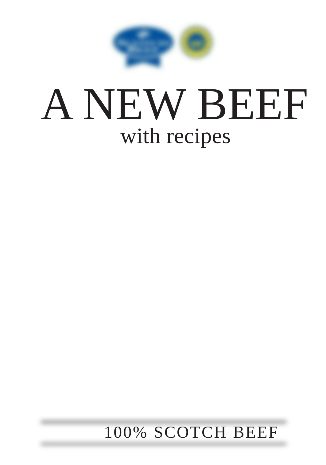 a_new_beef_guide_with_recipes.pdf_d2ipwd99i0q_page3