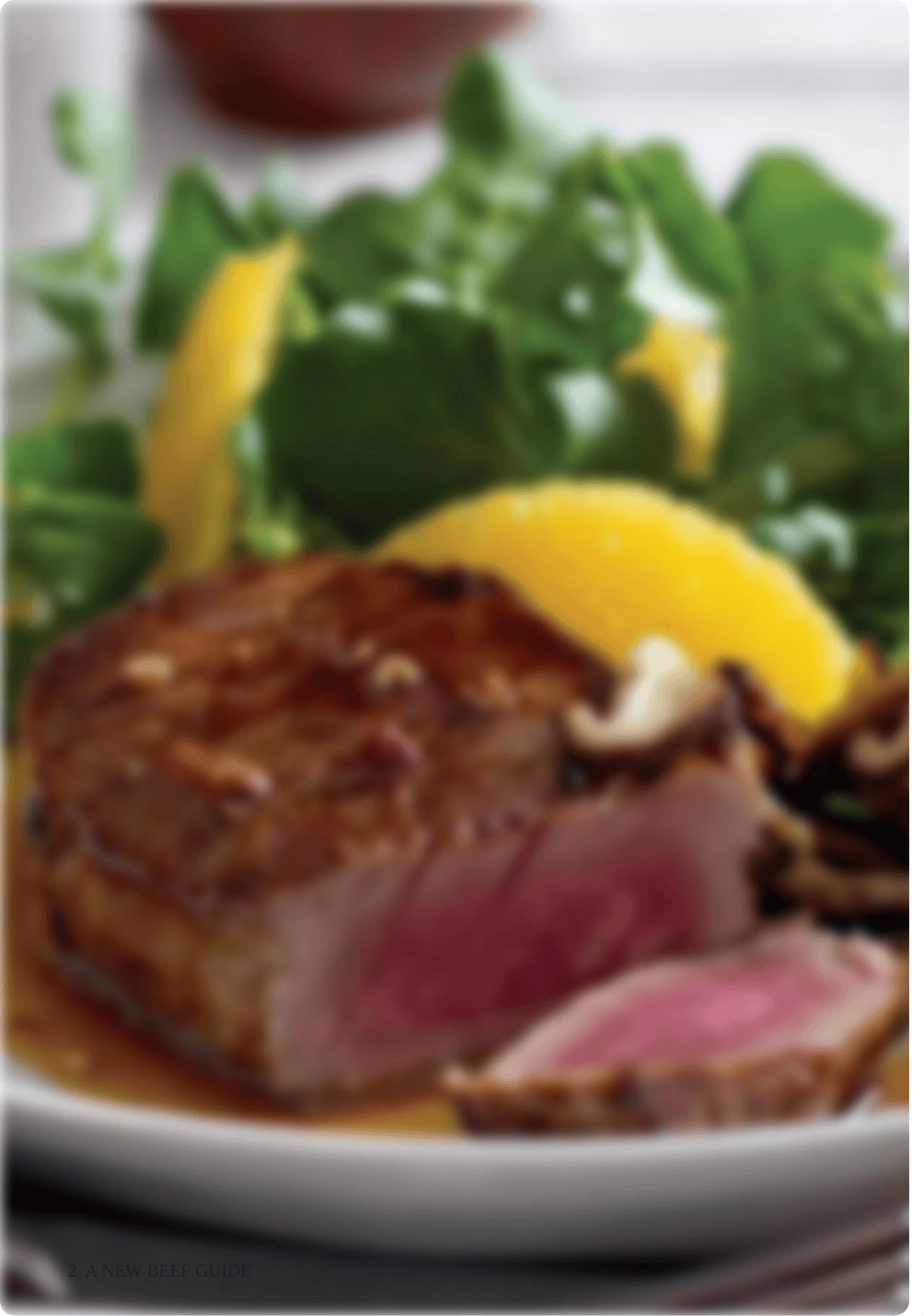 a_new_beef_guide_with_recipes.pdf_d2ipwd99i0q_page4